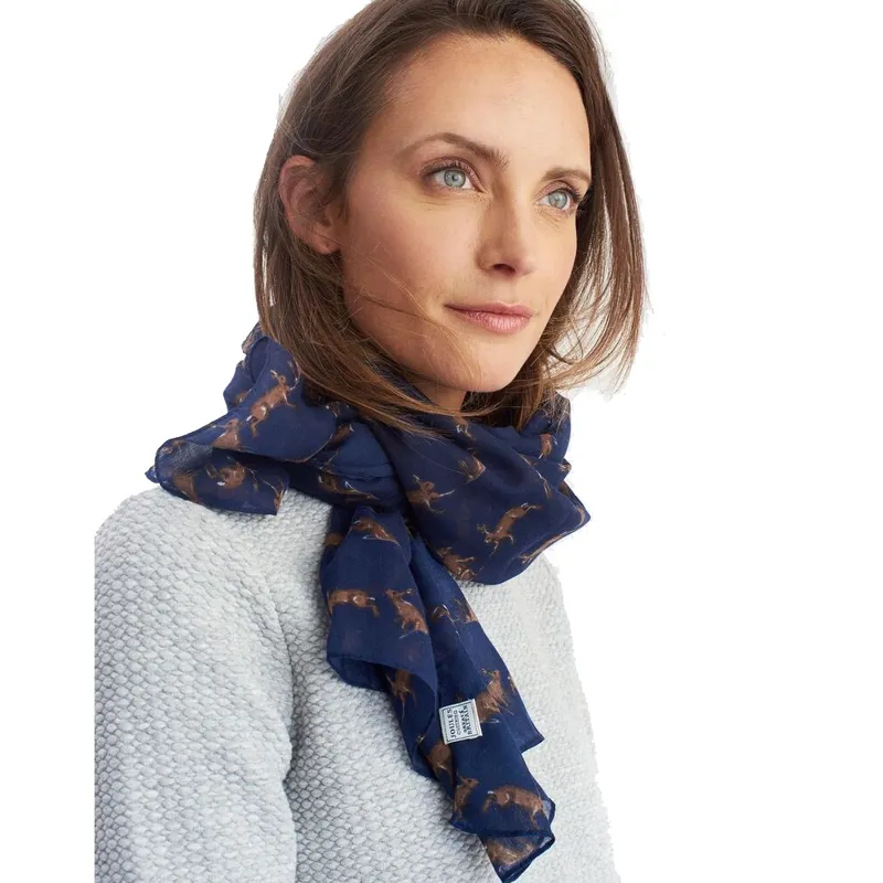 Joules Wensley Scarf - French Navy Hare